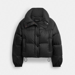 Női COACH® Cropped Puffer Kabát Fekete | HUNWQ387