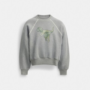 Női COACH® Rexy Crewneck Pulóver Szürke | HUMQC489