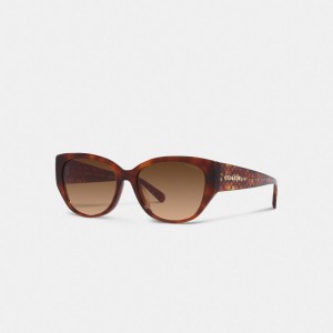 Női COACH® Signature Rounded Cat Eye Napszemüveg Barna | HUMQF697