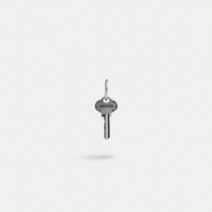 Női COACH® Sterling Key Single Huggie Earring Titán | HURVH564