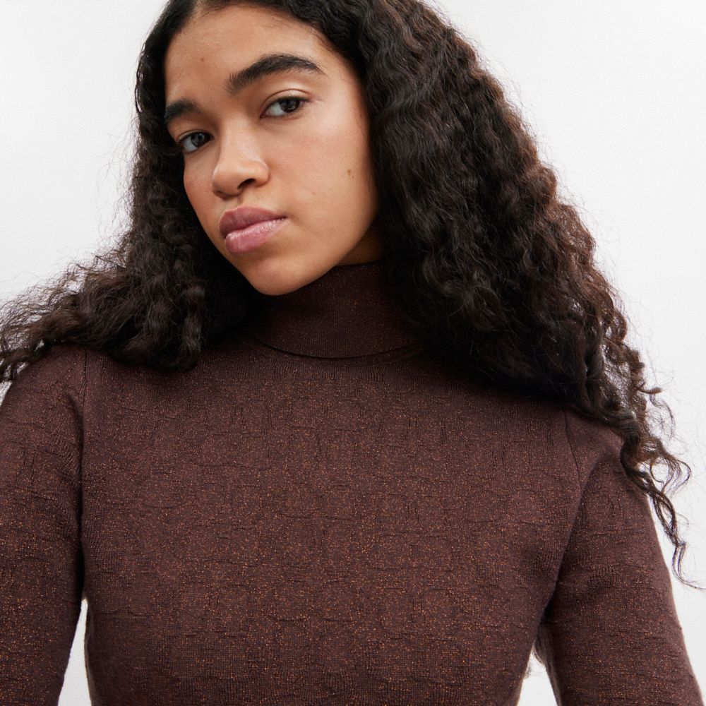 Női COACH® Lurex Signature Turtleneck Pulóver Barna | HUFDP477